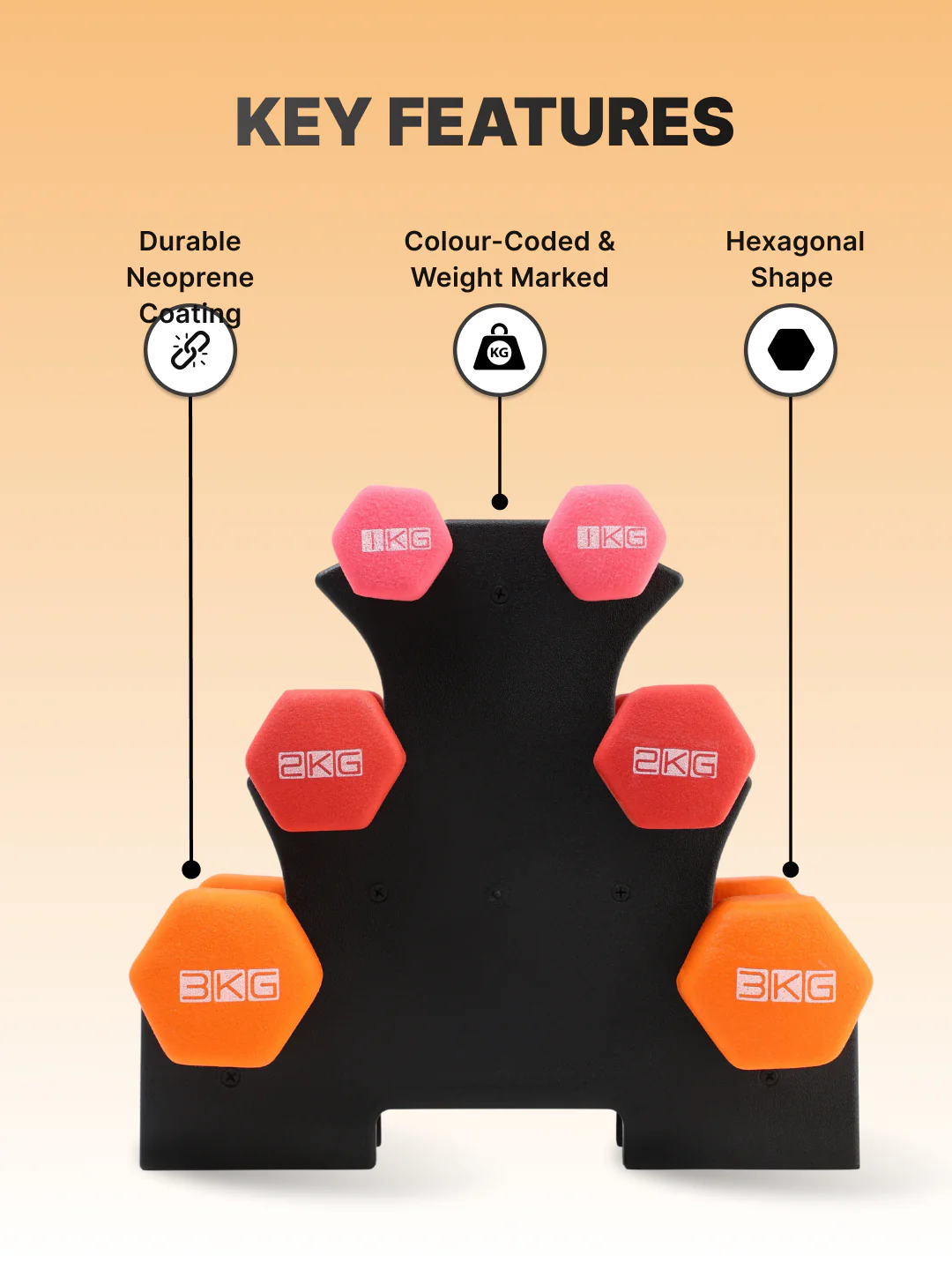Cult Neoprene Dumbbells Combo for Gym Exercise (1kg + 2kg + 3kg Set) 12kg | Dumbbell With Stand - Image 2