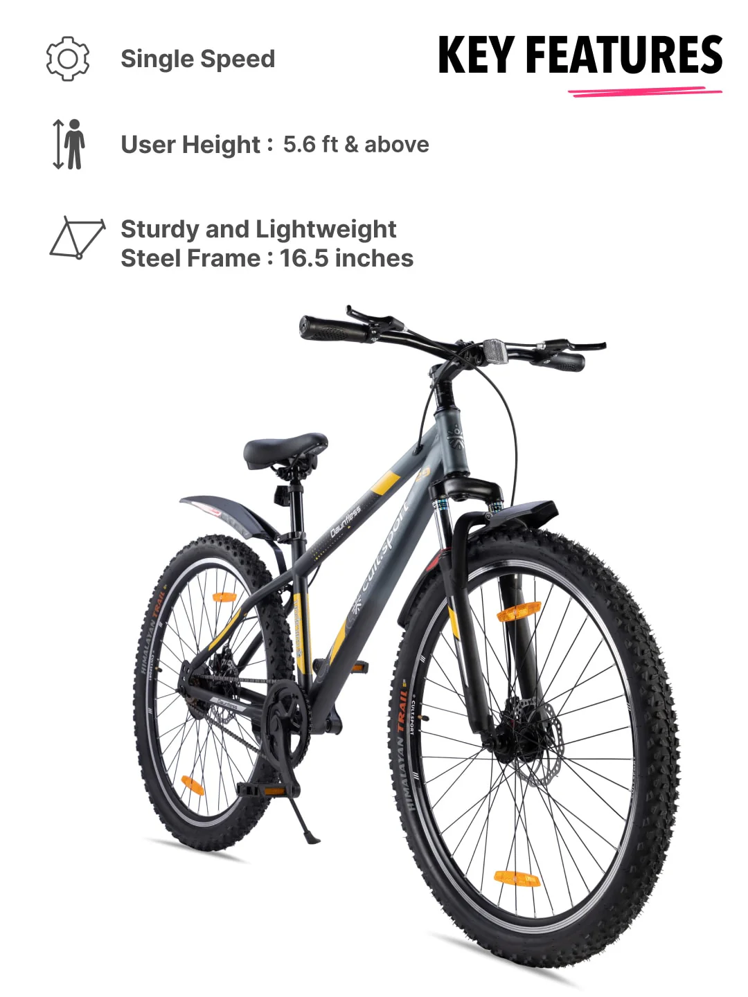 DAUNTLESS29TGREYBLACK Steel Single Speed 29 inch Mountain Cycle, Front Suspension, Double Wall Rim and Dual Disc Brake - Image 2