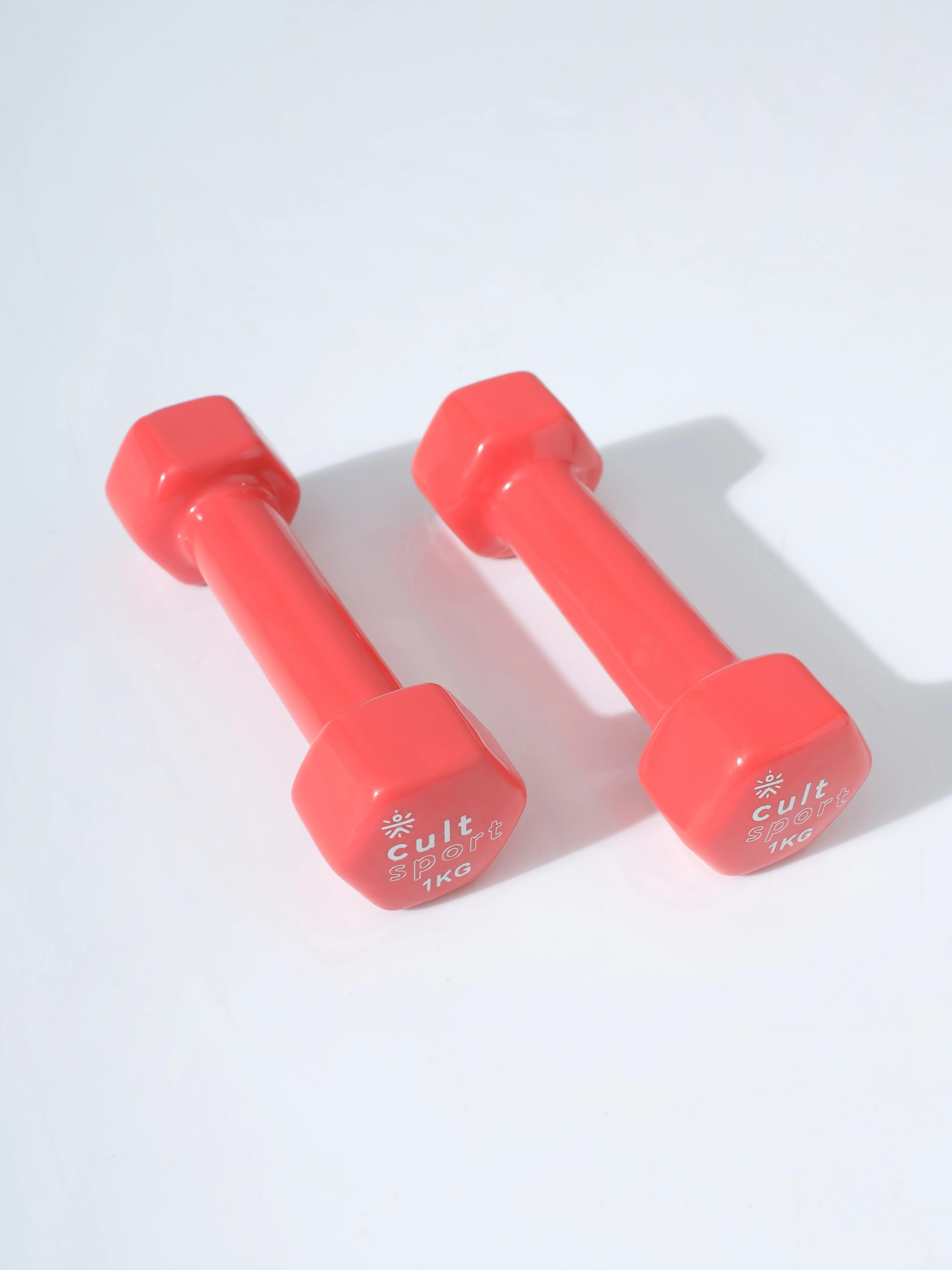 Vinyl Coated Dumbells - Image 2