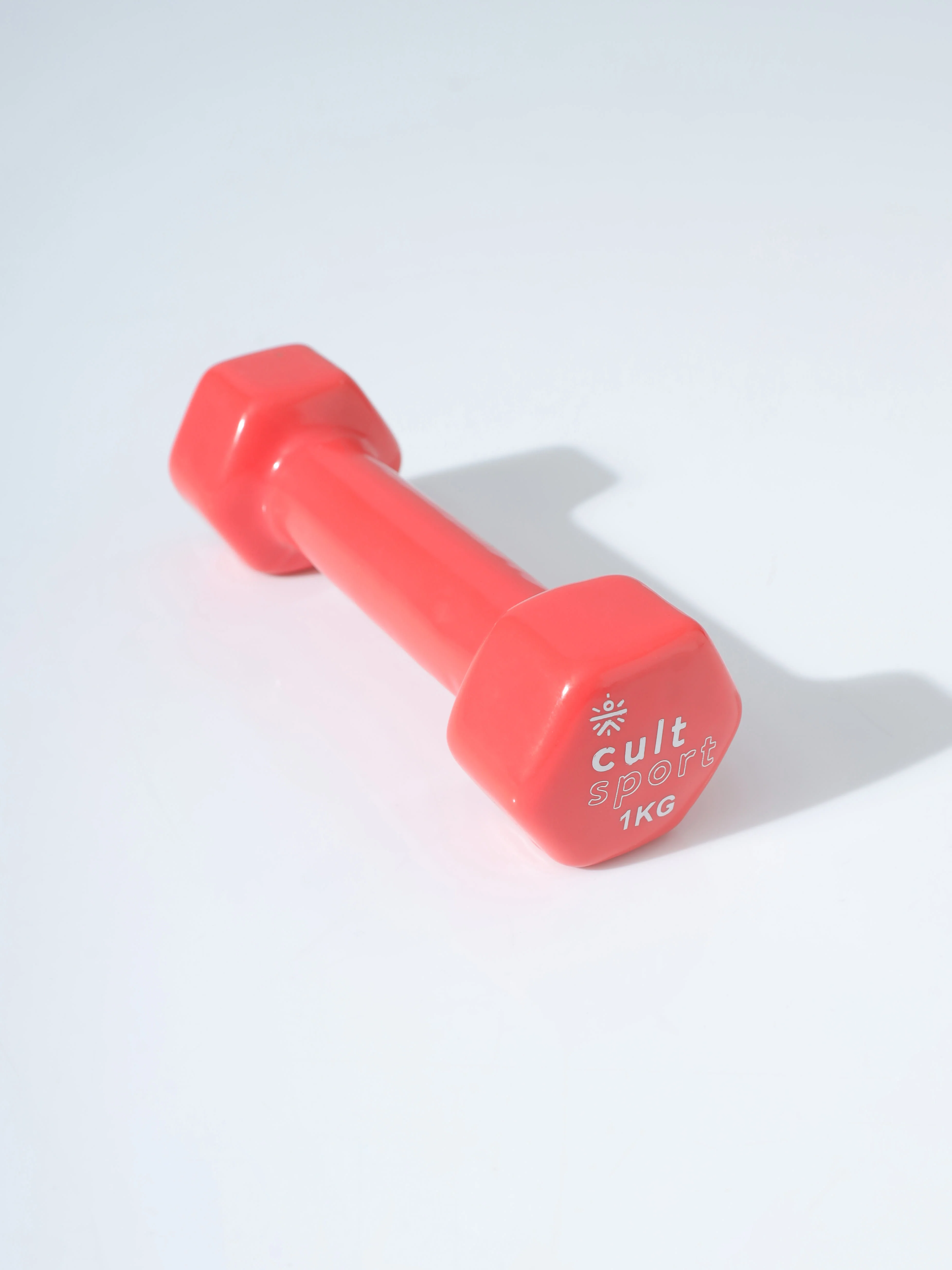 Vinyl Coated Dumbells - Image 4
