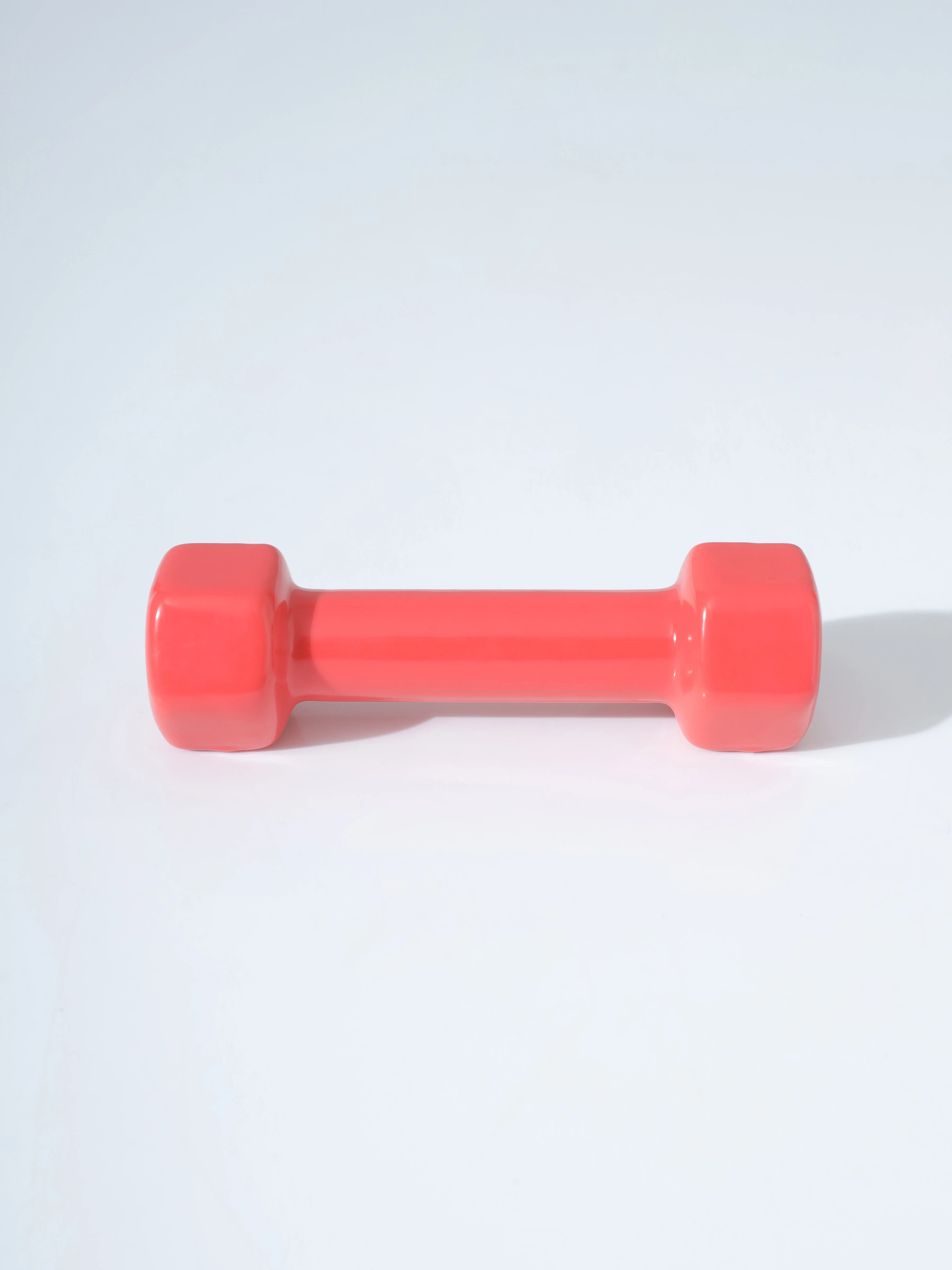 Vinyl Coated Dumbells - Image 5
