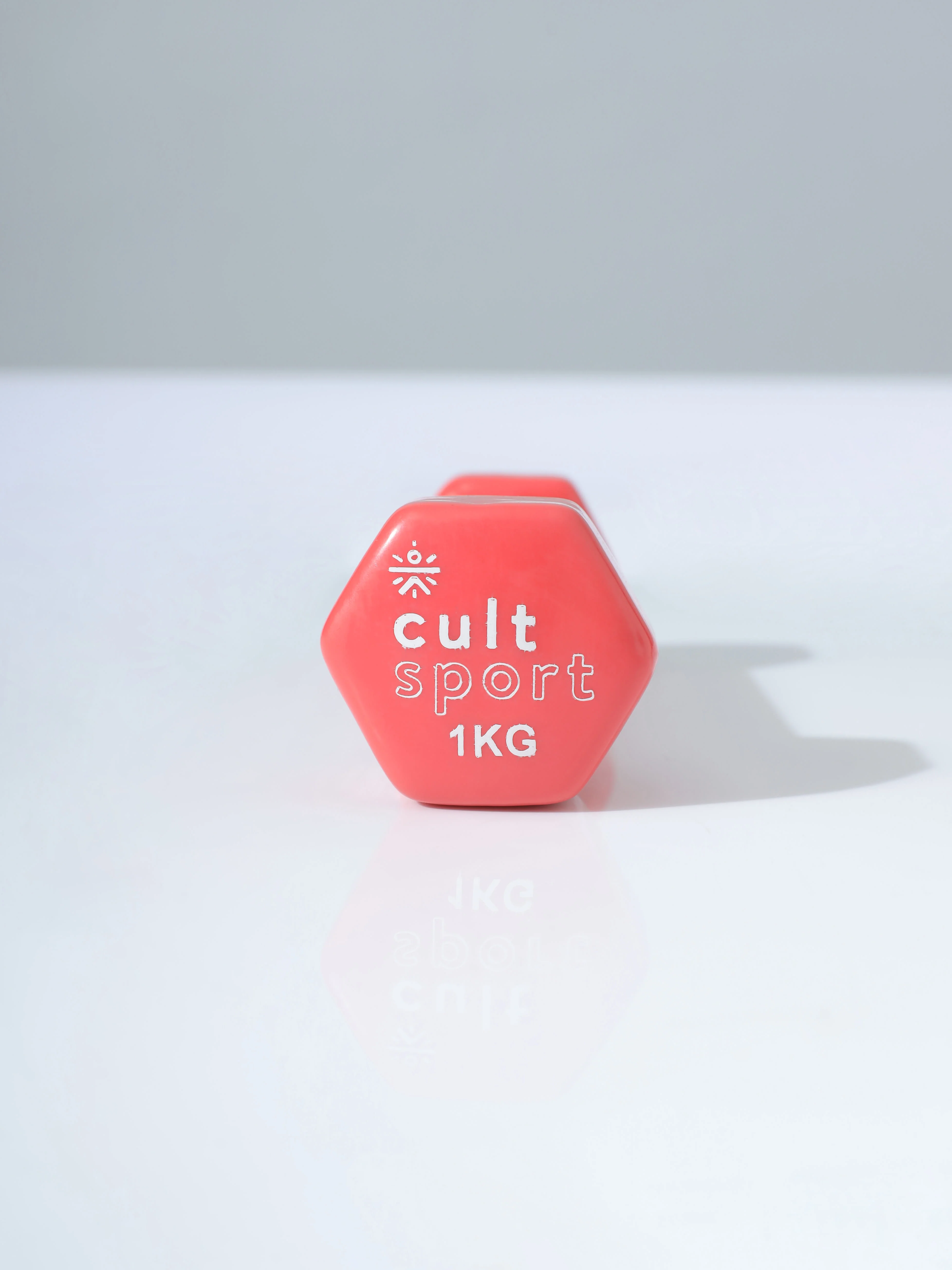 Vinyl Coated Dumbells - Image 6