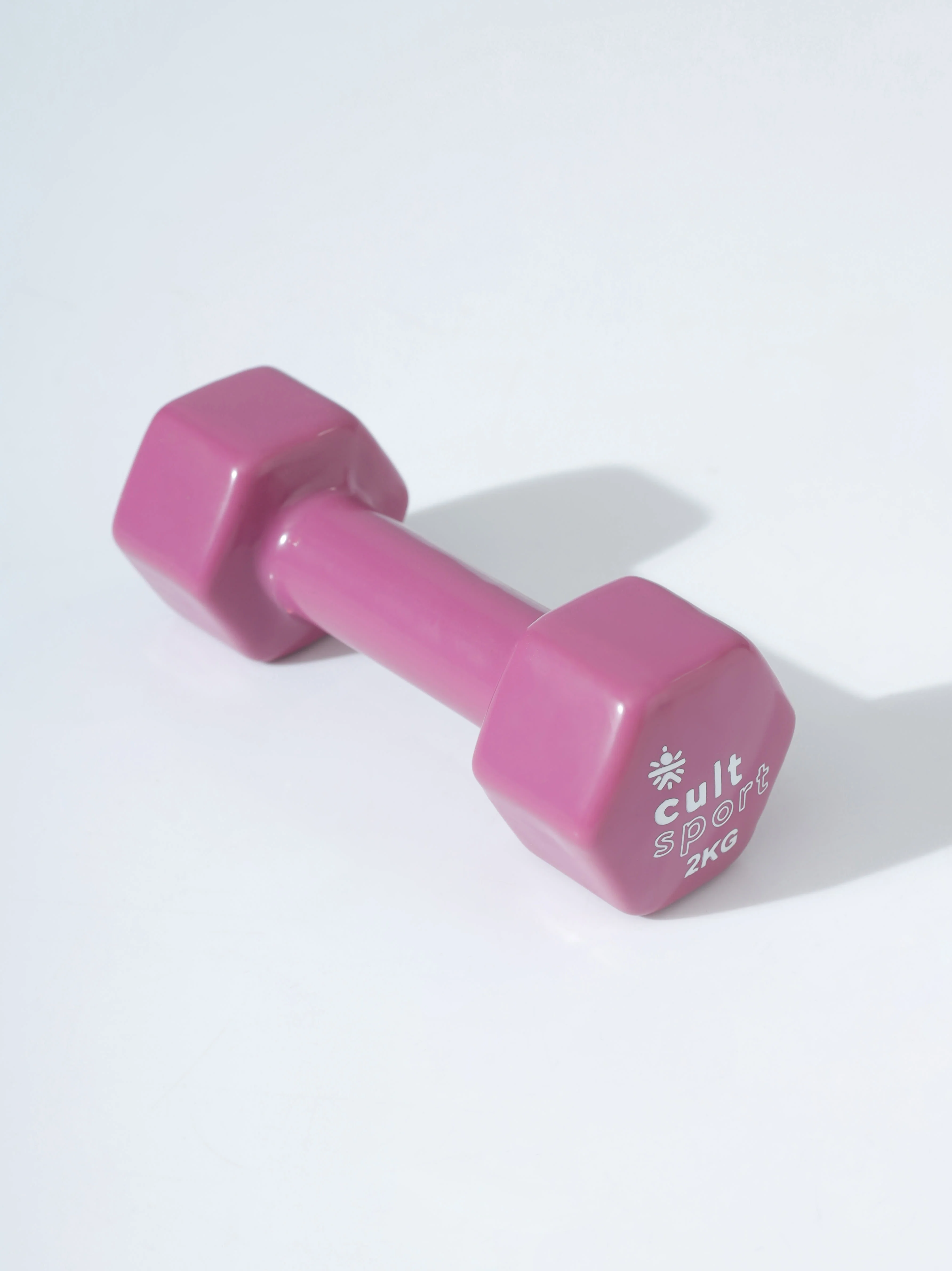 Vinyl Coated Dumbells - Image 3