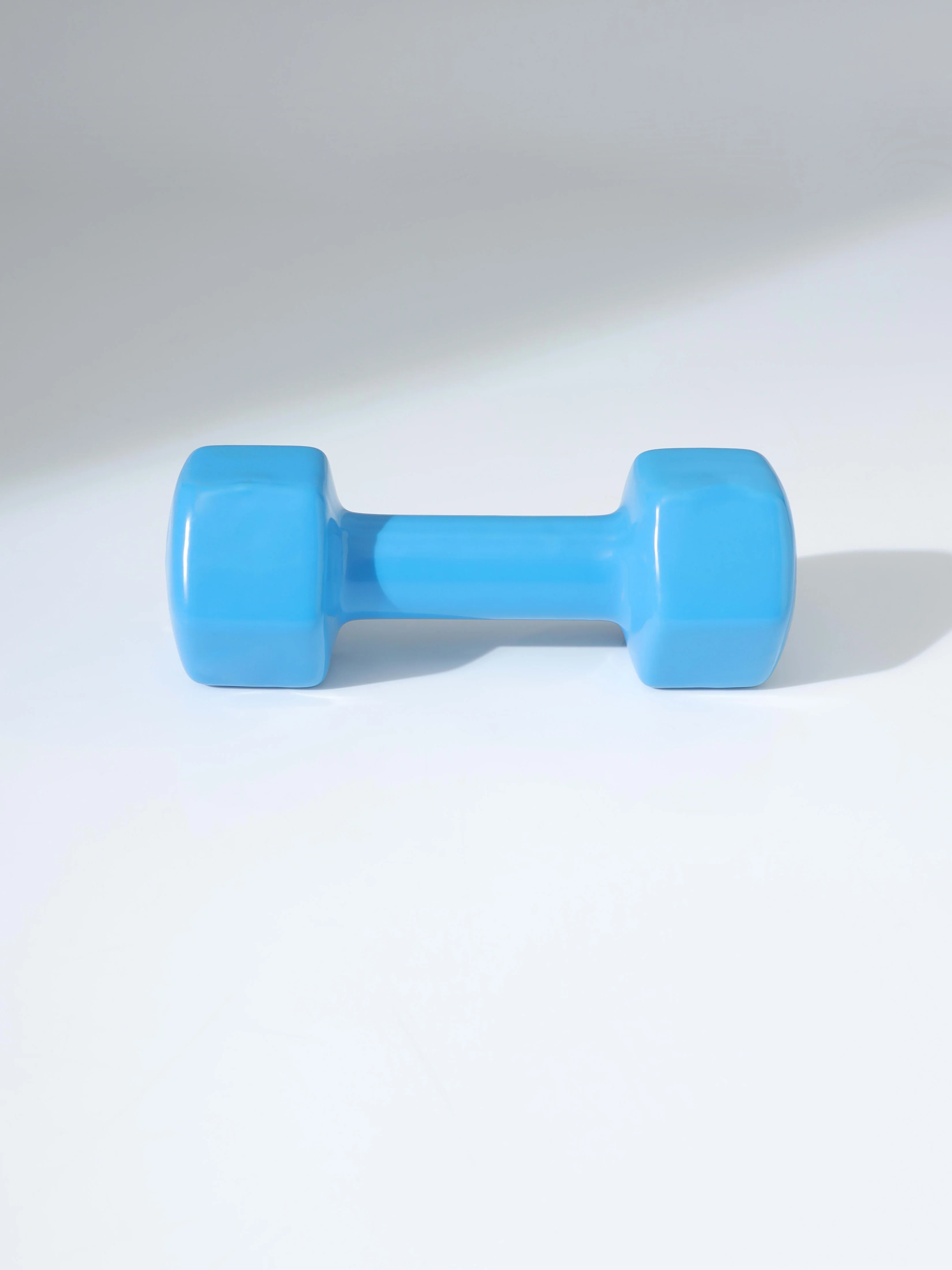 Vinyl Coated Dumbells - Image 3
