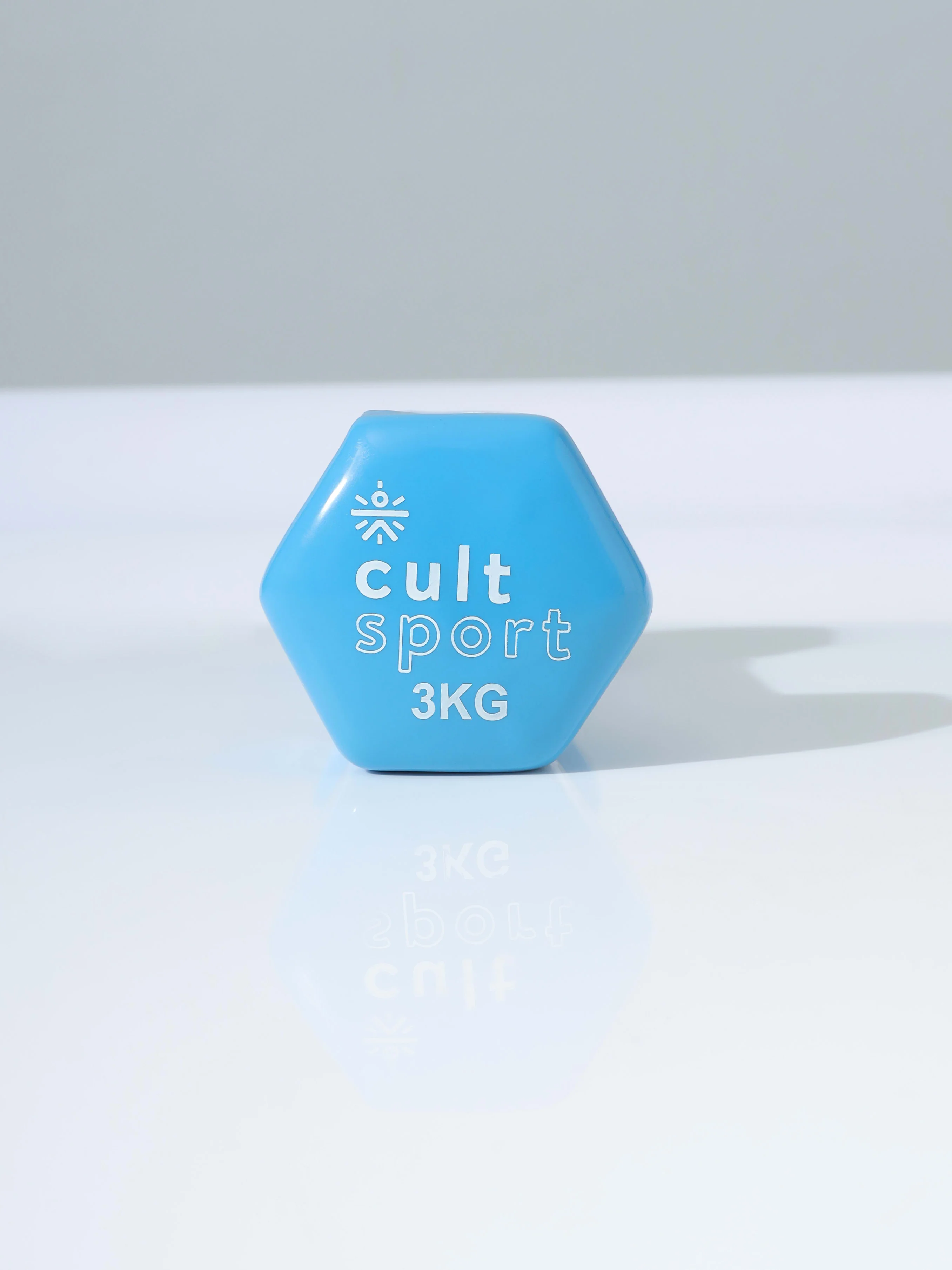 Vinyl Coated Dumbells - Image 5
