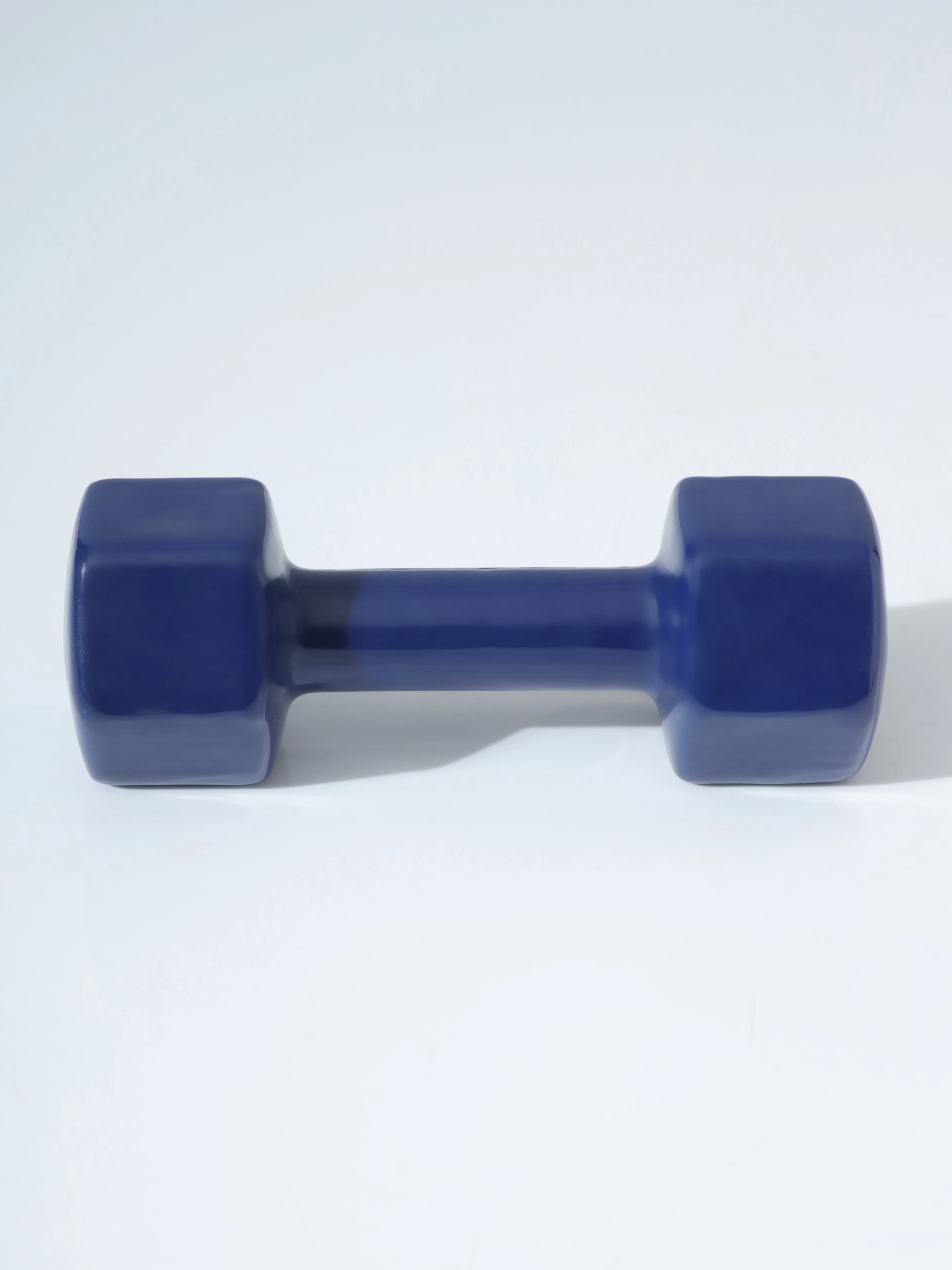 Vinyl Coated Dumbells - Image 6